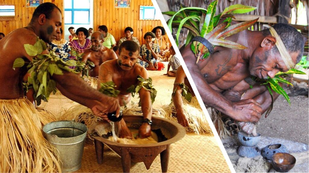 Fiji Kava vs Vanuatu Kava